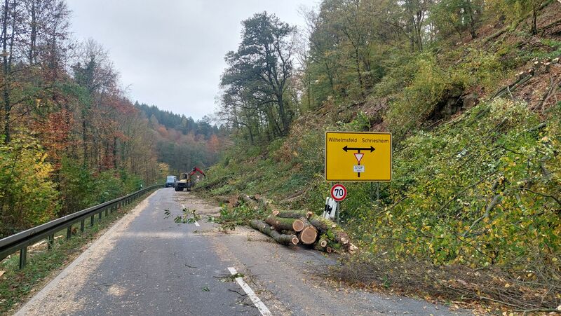 Datei:Stimmen aus dem RhN-Dreieck 4.12.2024 1.jpg
