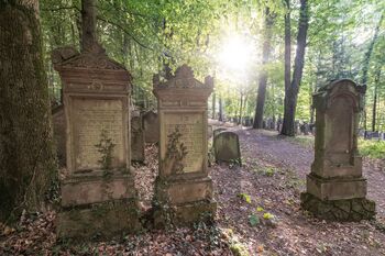 Der jüdische Friedhof ist ein Kulturdenkmal der besonderen Art